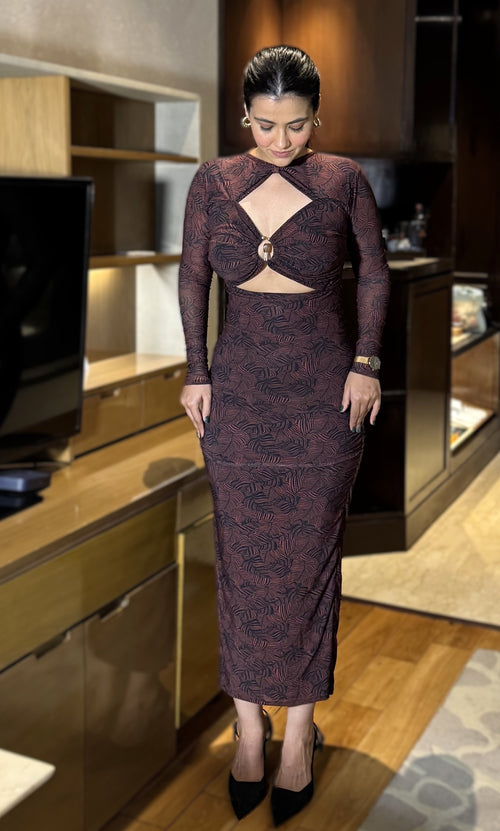 Rooshy bling mocha brooch dress