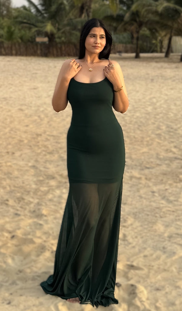 rooshy sheer dress