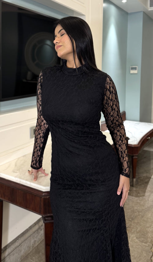 Rooshy fullsleeves maxi net dress