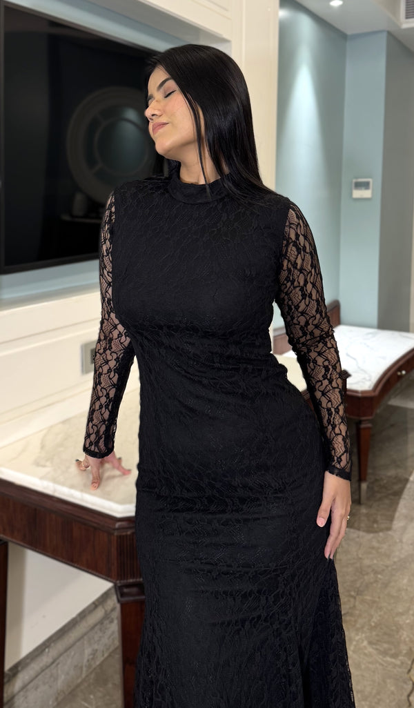 Rooshy fullsleeves maxi net dress
