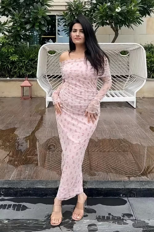 rooshy elegance dress